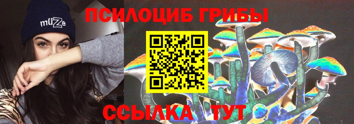 как найти наркотики  Вход с VPN  Среднеуральск  Псилоцибиновые грибы Magic Shrooms 
